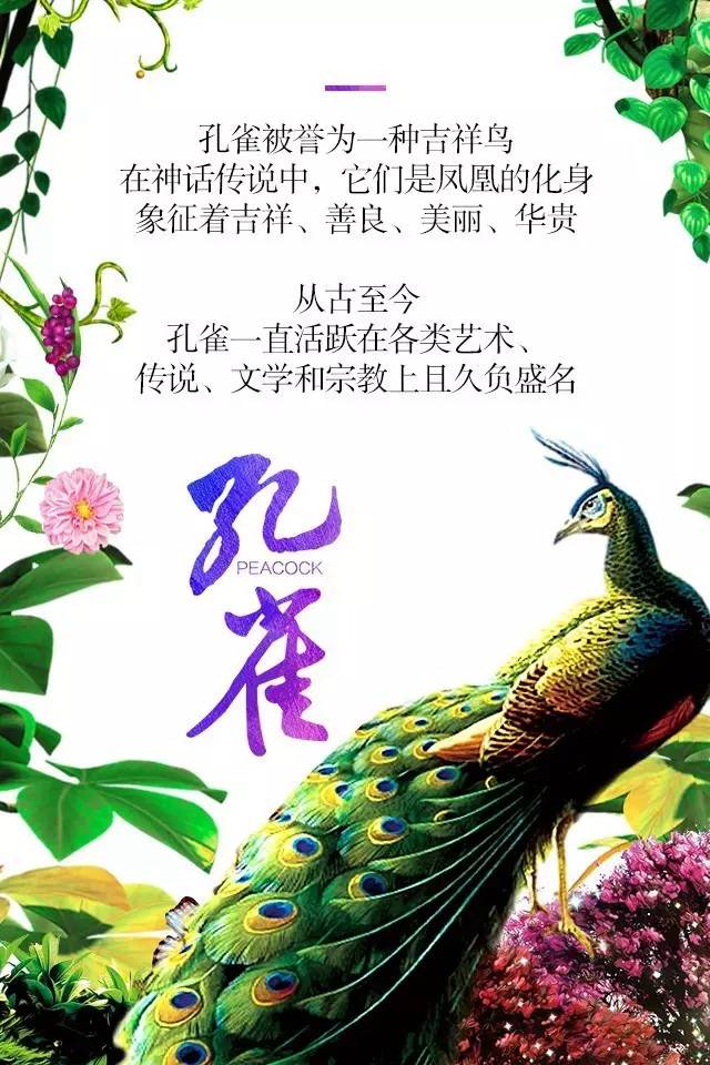 【915-918邵陽(yáng)秋季車(chē)展】鳳臨枝頭，雀雀雀雀雀實(shí)驚艷！