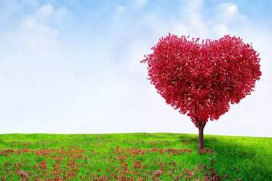 愛心灑人間，走進新時代..........倒計時兩天