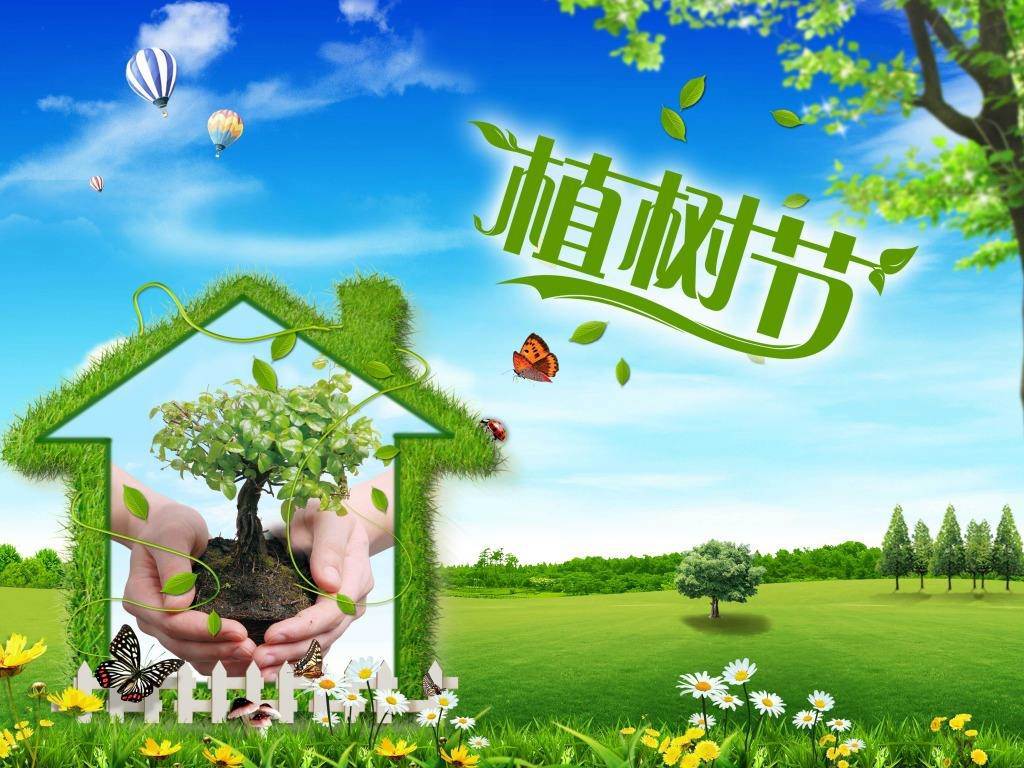 北京現(xiàn)代“智現(xiàn)代，植未來”，你我共建森林邵陽